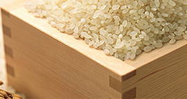 原料